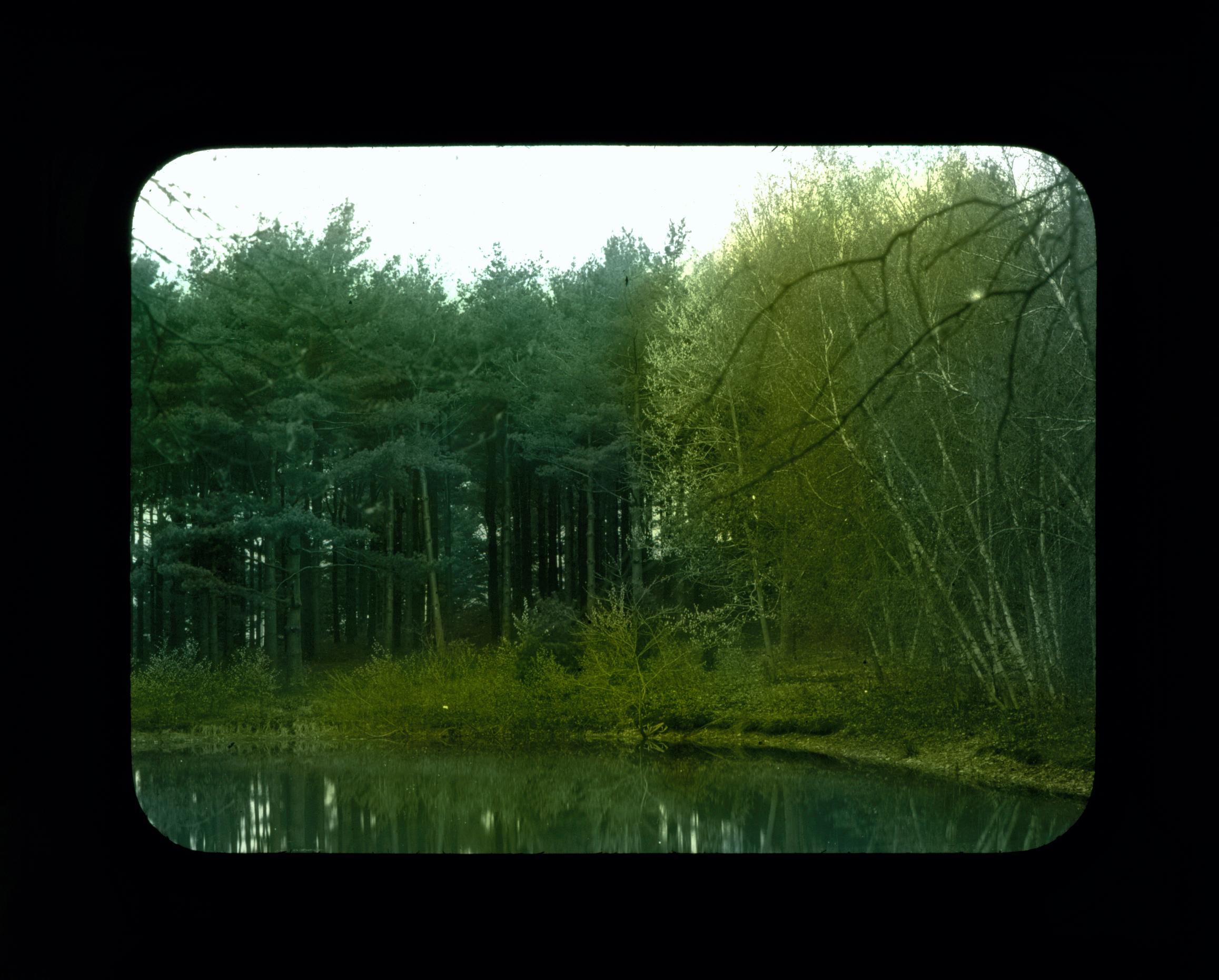 Shippee Hollow Pond on Russell Estate in Warwick, c. 1880-1930